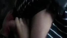 美丽的小牛在海边的战斗