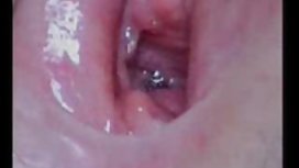 女同志打架并最终他妈的努力