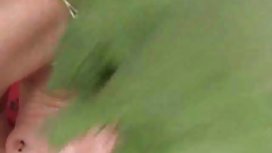 有巨型山雀的小金发碧眼的女人在出租汽车